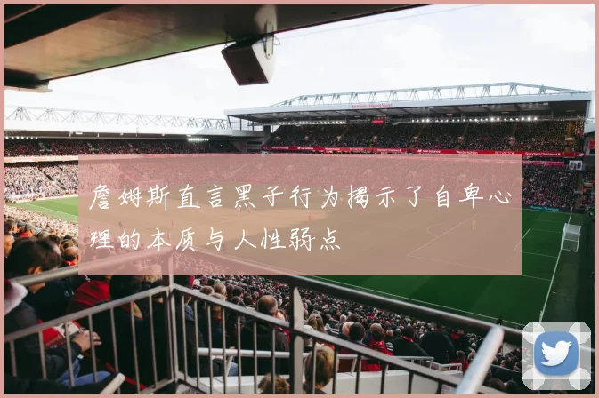 詹姆斯直言黑子行为揭示了自卑心理的本质与人性弱点