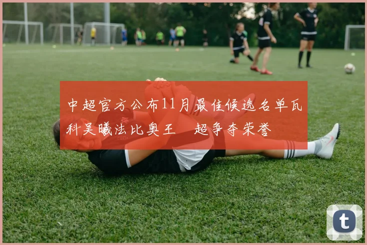 中超官方公布11月最佳候选名单瓦科吴曦法比奥王燊超争夺荣誉